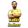 Chennai Super Kings (IPL) 10