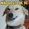 CACHORROS ENGRAÇADINHOS 🐶 5