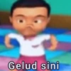UPIN IPIN  13