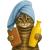 ✨️ Modo Gato 🐈🐱🐈‍⬛ 15
