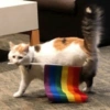 Lgbt  15