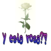 Textosッ 11