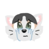 Pack de gatita graciosa 2 24