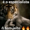 O melhor do shitpost 10