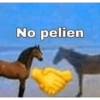 Patas 5