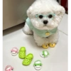 DOGS pra toda hora 9