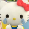 ⩉⩉ . 🌿 ࣪ 𓂃 ✸ KiTTY ،، 𖥻  7