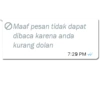 Maaf pesan tidak dapat dibaca karena anda kurang dolan 7:29 PM
