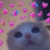 Reações de amor 😍 💌 6