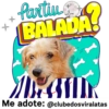 StickerAdoption  15