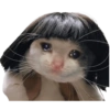 Gatos sad 2 22