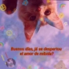 Gatos.anonimos 24
