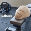 Rreacciones para SÁBADO 6 18