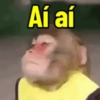 Macaco / monkey 6