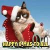 ❄️🍒🌲HAPPY X-MAS 🍒🌲❄️ 15