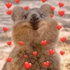 🐾🐚🌻Animals 🌻🐚🐾 20