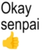 Text anomali 1.3 5