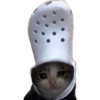 Gatitos tristes 13