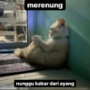 Ayang 23