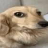 Top shitpost 7