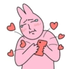 Pink korea rabbit  5