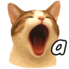 ✨️ Modo Gato 🐈🐱🐈‍⬛ 5