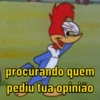 Pica pau debochado 🤣 5
