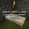 ❤️┛Amor de Minecraft ┛❤️👾⛏️ 14