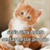 Flerte 27