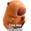 Capibara capibara capibara 4