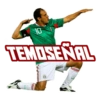 Selección Mexicana Qatar22 6