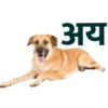 Marathi 10