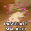 TO APAIXONAD💖 11