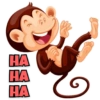 Funny Monkey 12
