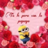 Minions 24
