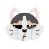 Pack de gatita graciosa 2 27