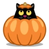 Halloween 30