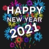 New Year Pack 15