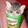 MEMES ATUALIZADOSS 15