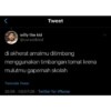 Willy_1 23