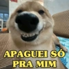 CACHORROS ENGRAÇADINHOS 🐶 6