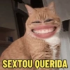 SEXTOU QUERIDA