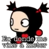 Pucca 17