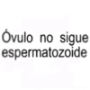 Óvulo no sigue espermatozoide