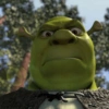 Estilo Sherk💚 9
