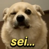 sei...