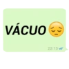 MENSAGENS DO ZAP 😼 13