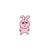 Pink korea rabbit  25