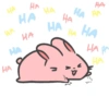 Spidi the bunny 7