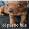 oi posso fala